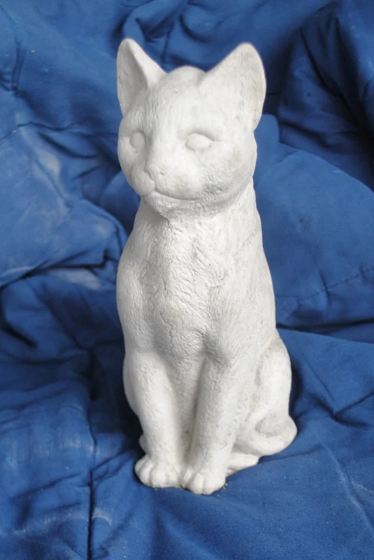 Sitting Cat