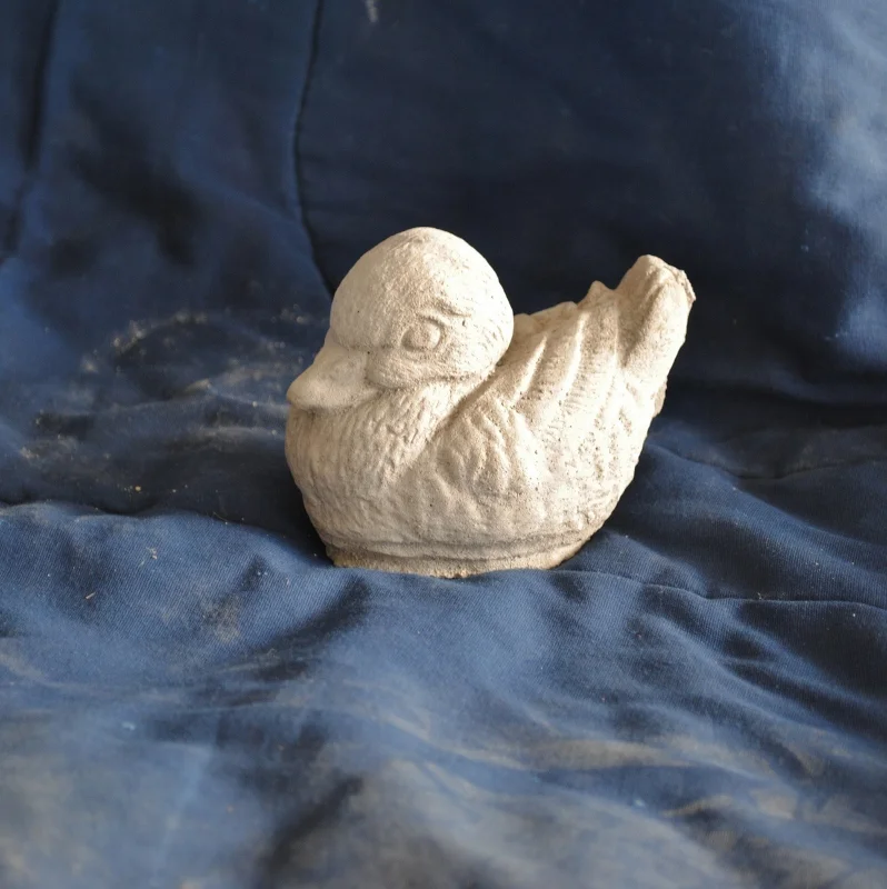 duck--baby-detailed.jpg