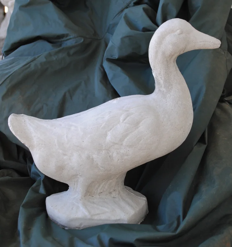 duck--medium.jpg