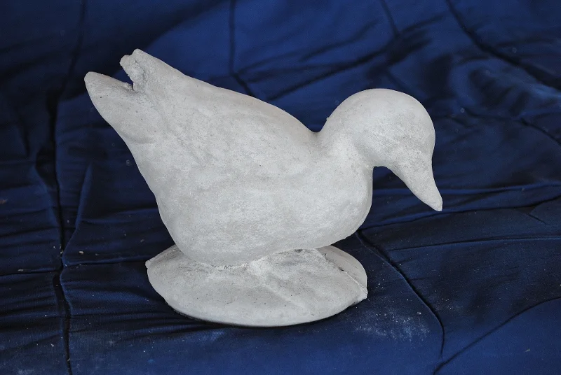 duck--small-tail-up.jpg