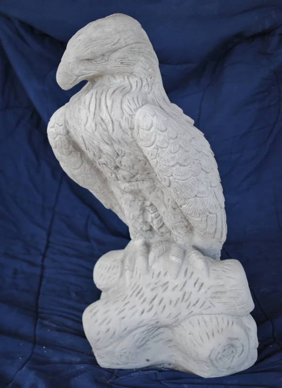 eagle--lg-on-limb-wings-down----------------.jpg