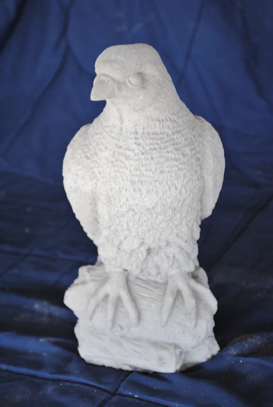 hawk.jpg