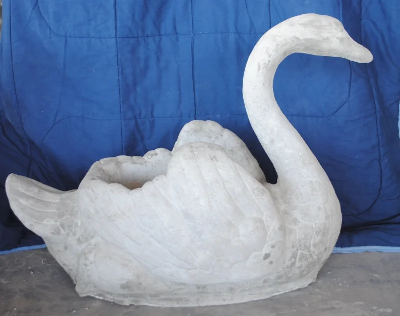 swan--xxl.jpg