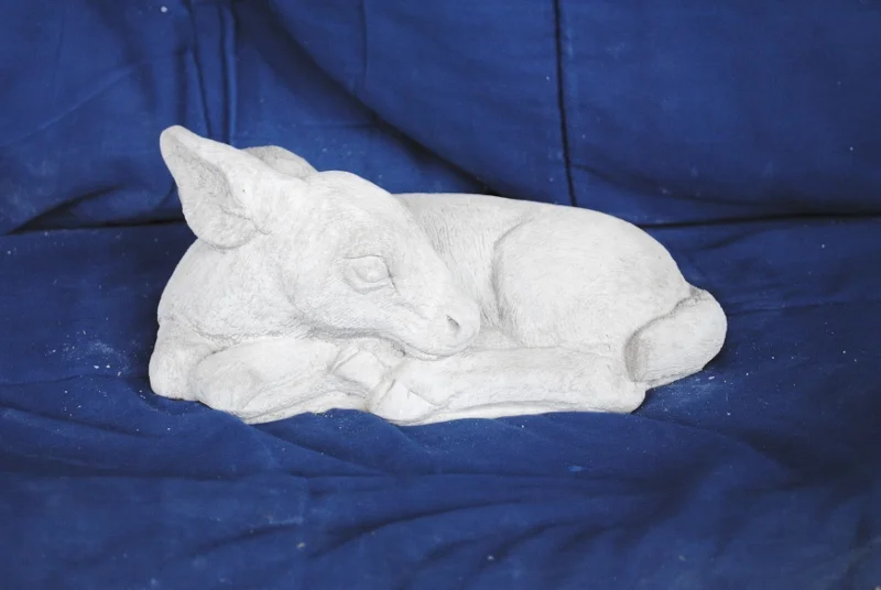 Medium Curled laying deer