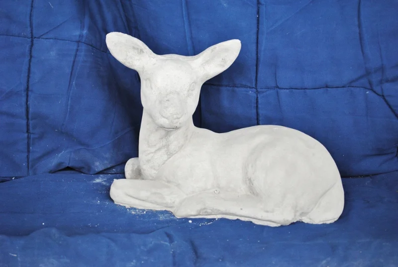 Medium laying doe