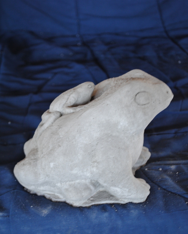 frog-w-baby-(l).jpg