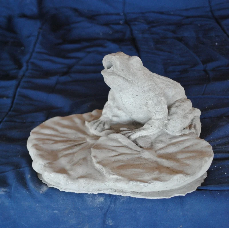 lily-pad-frog-(m).jpg