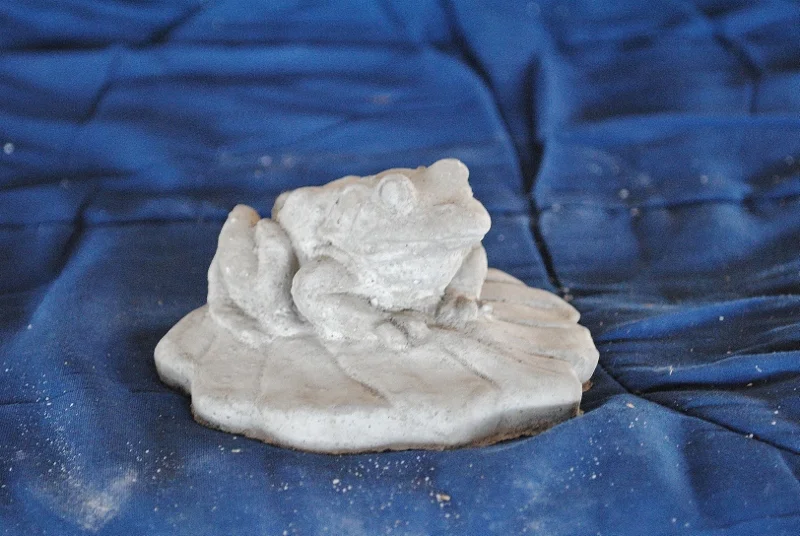 lily-pad-frog-(s).jpg