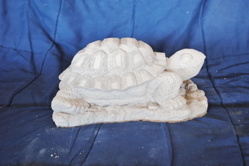 detailed-turtle-on-rock-base-(m).jpg