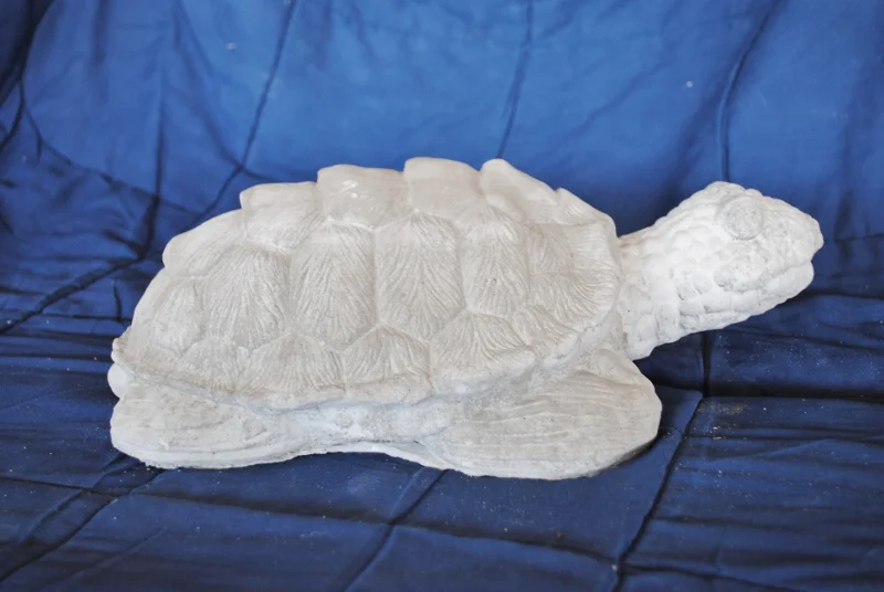 logger-head-sea-turtle.jpg