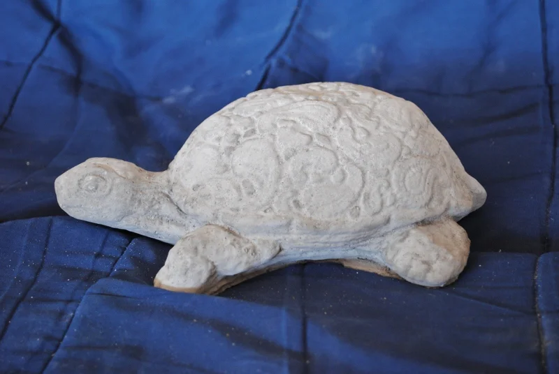 sea-turtle--medium-paisley.jpg