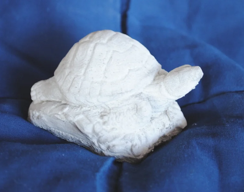 turtle-tiny.jpg