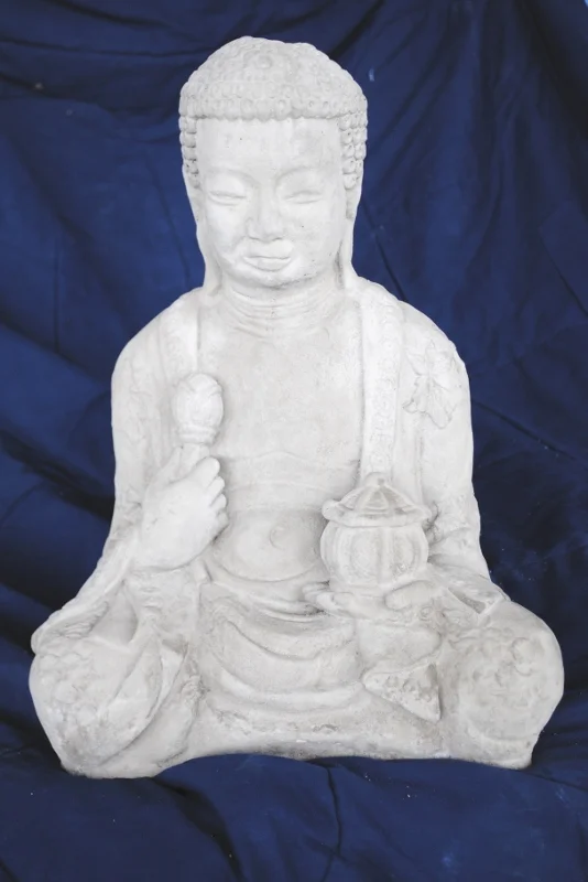 Buddha Boy
