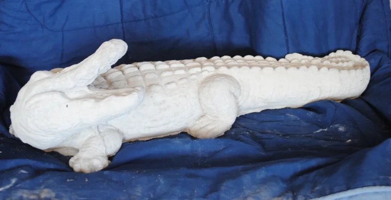 Alligator, Large Head Turned