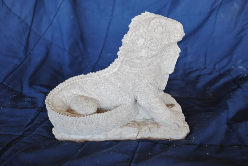 iguana--large.jpg