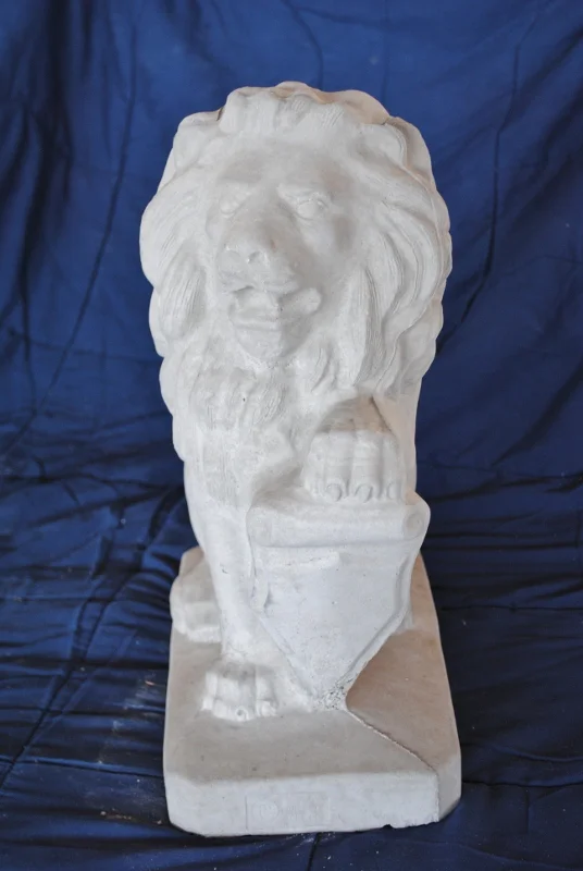 lions--med.-left-(cmc).jpg