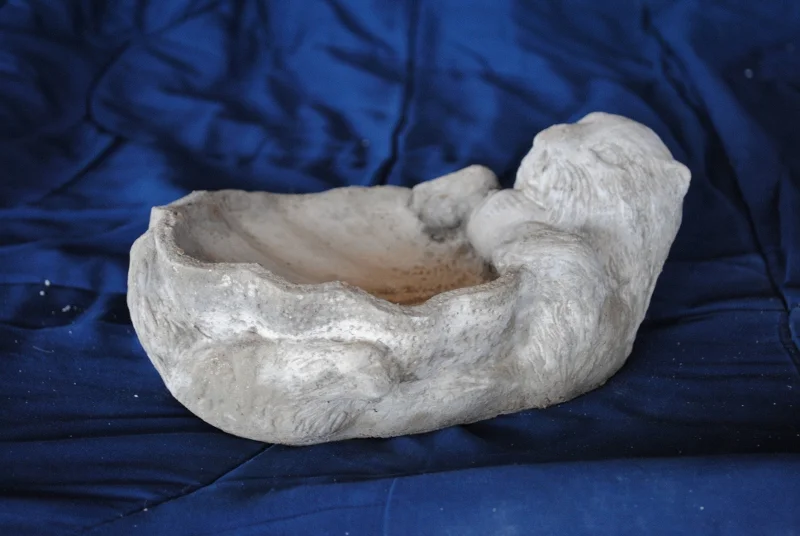 otter-w-shell-feeder (800x536).jpg