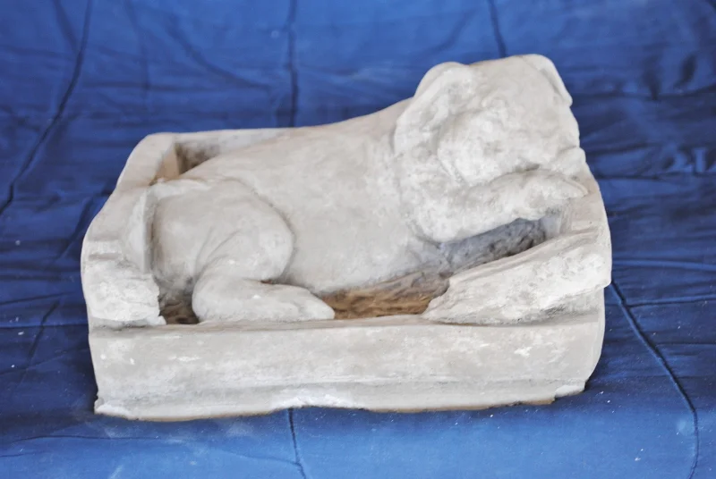 pig-in-basket (800x536).jpg