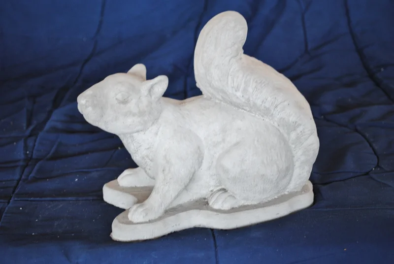 squirrel--(l) (800x536).jpg