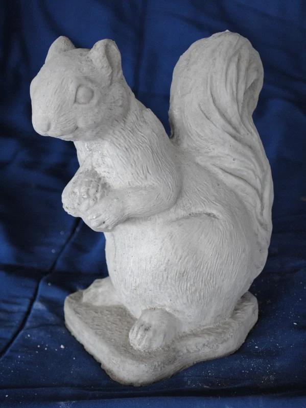 squirrel--(m)-w-nut (599x800).jpg