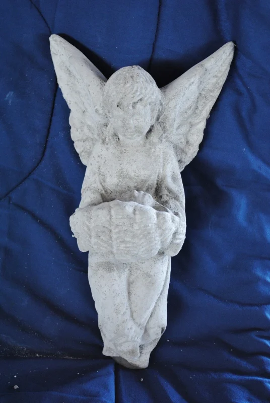 angel--w-dish (536x800).jpg