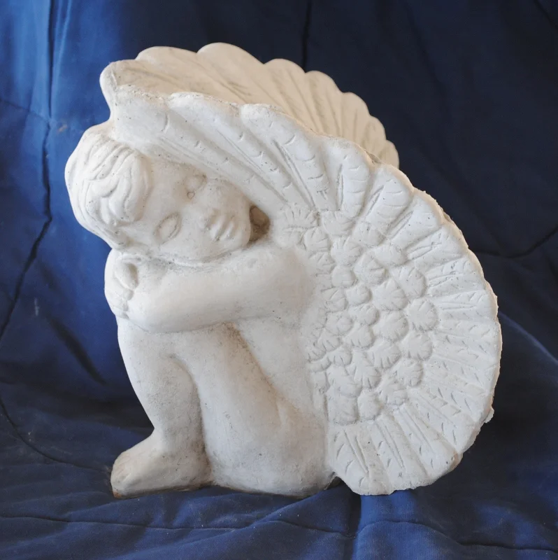 angel--wings-over-head-lg--tommy-lee- (798x800).jpg