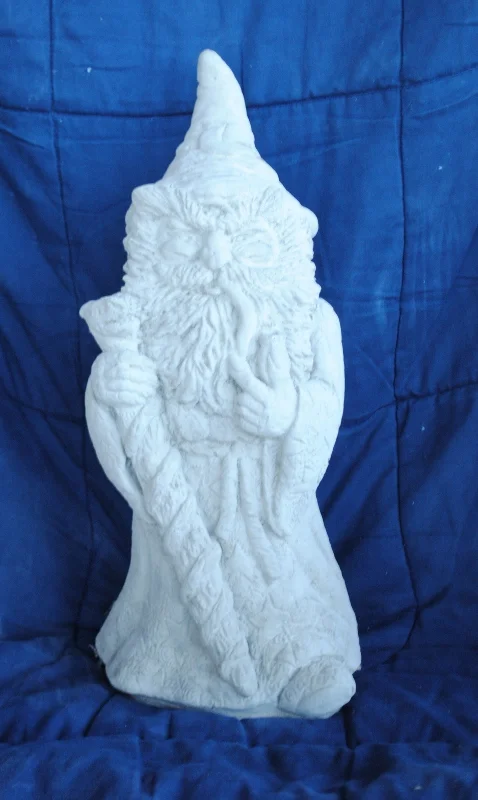wizard (478x800).jpg