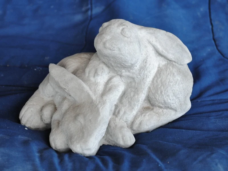double-rabbit--small (800x598).jpg