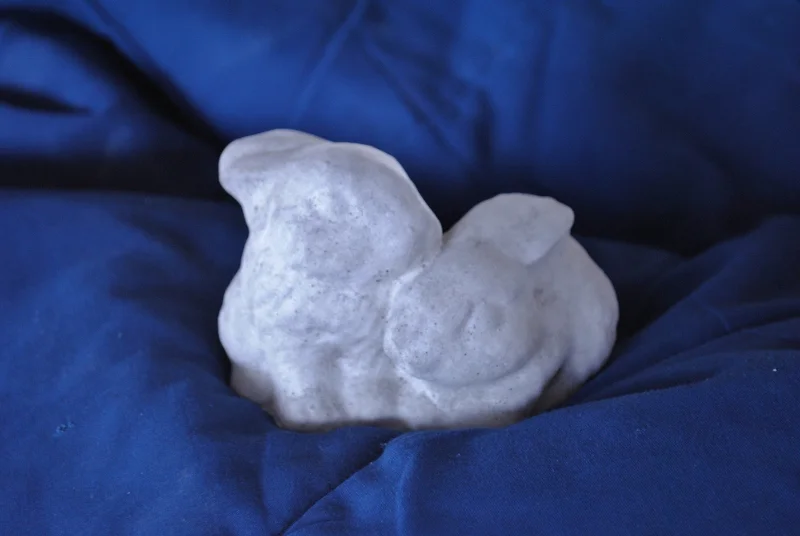 double-rabbit--tiny (800x536).jpg