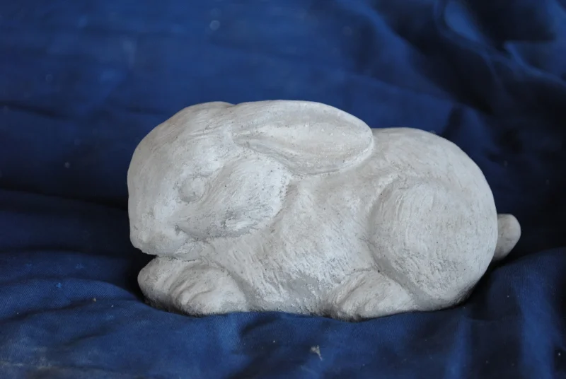 furry-rabbit-small (800x536).jpg