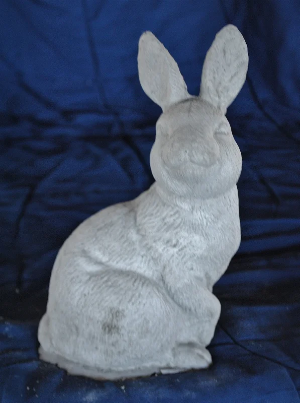rabbit-with-head-turned (597x800).jpg