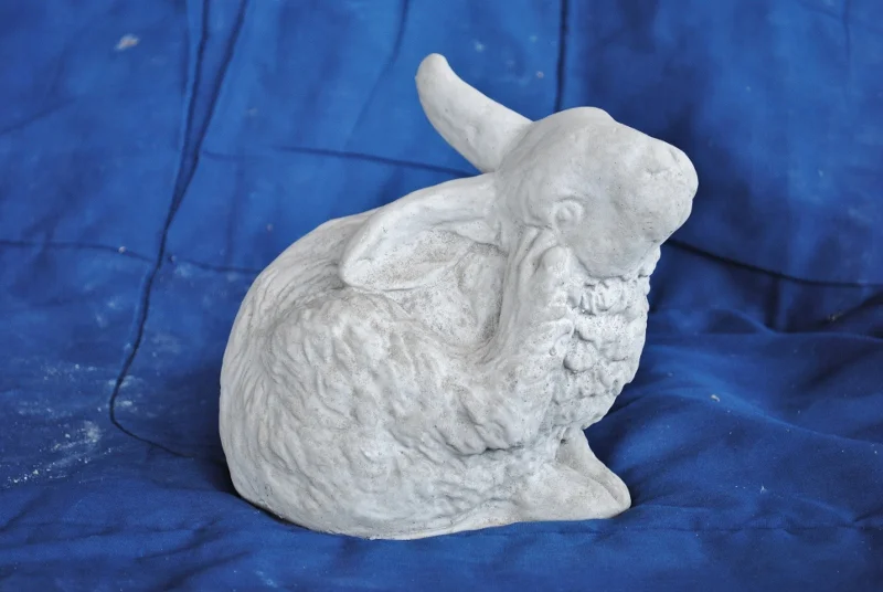 scratching-rabbit (800x536).jpg