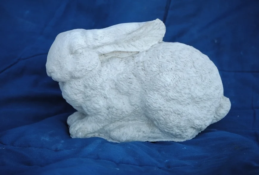 Furry Rabbit, ears back (870x588).jpg