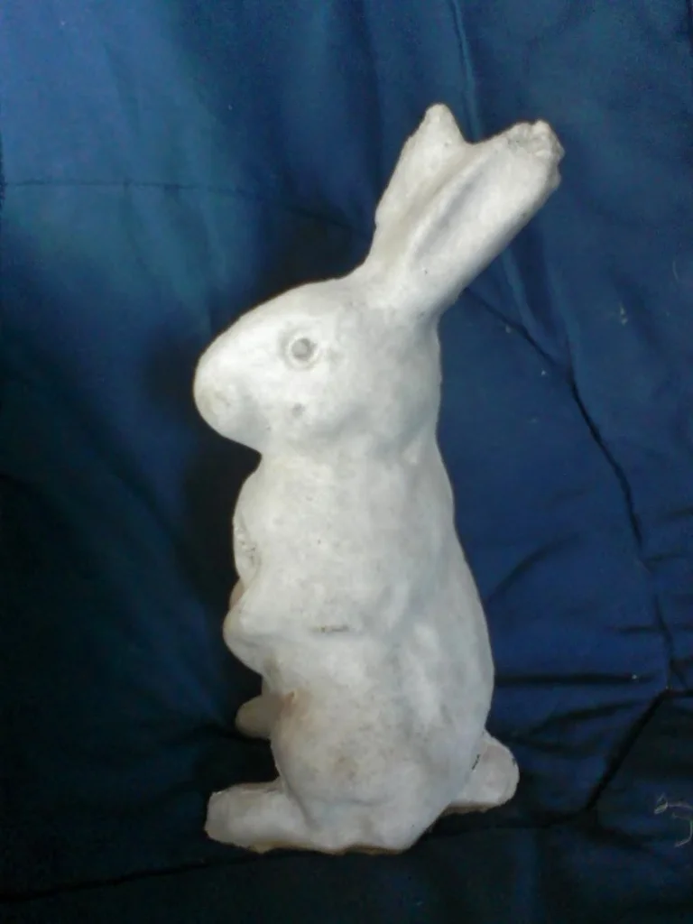 rabbit small cmc (768x1024).jpg