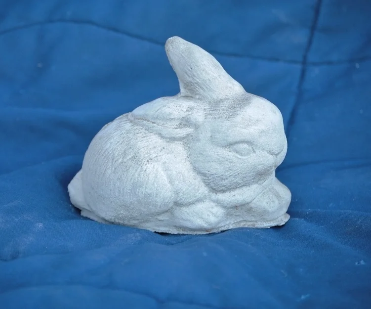 Tiny rabbit, 1 ear up (751x625).jpg