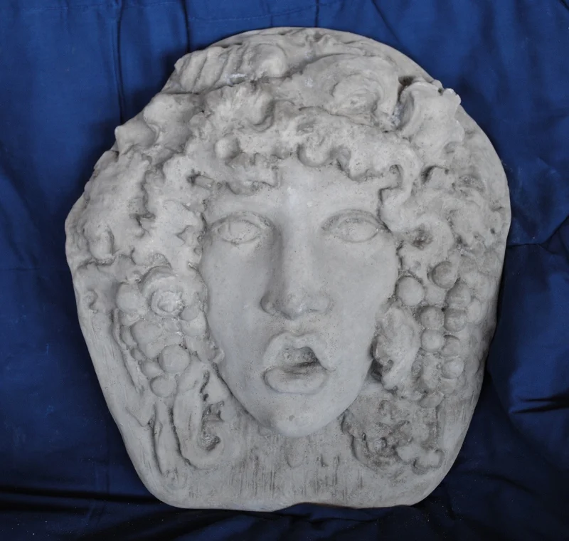 bonidia-head (800x760).jpg