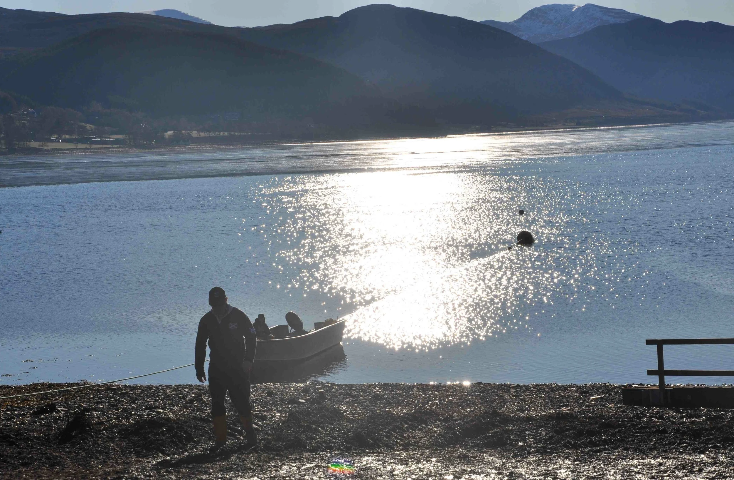 web 2013-02-19 11.13.56.jpg