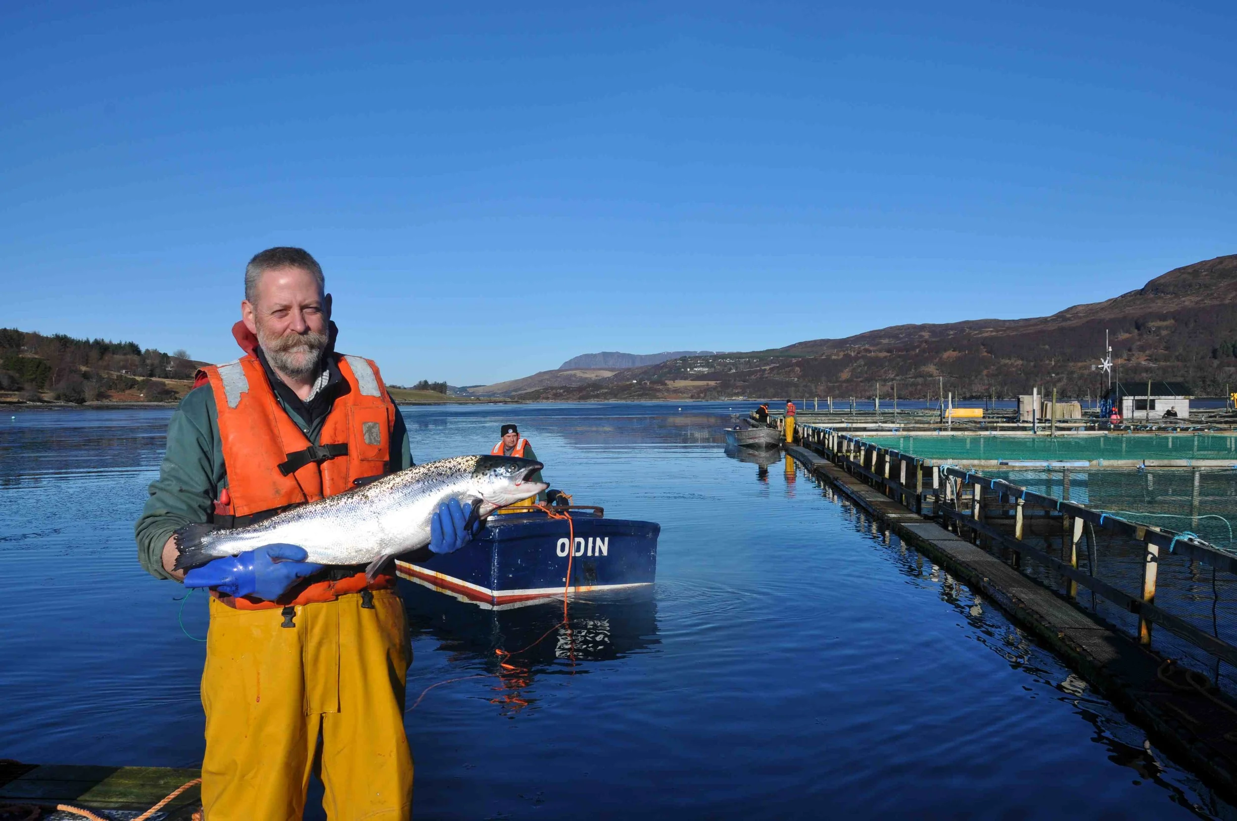   Wester Ross Fisheries , Scotland's oldest salmon farm, was ready for a new look.&nbsp; They needed something modern and stylish enough to engage a growing global clientele, while reflecting their premium place in the market.    