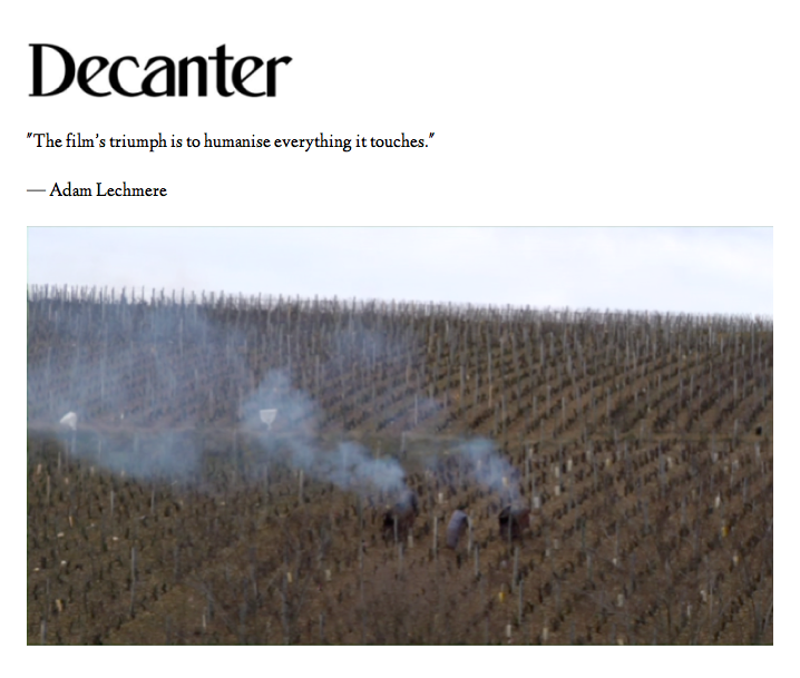 decanter.png