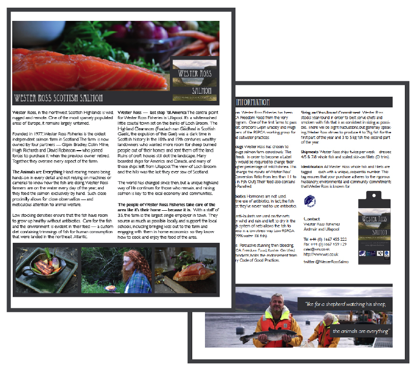 sales sheet image.png