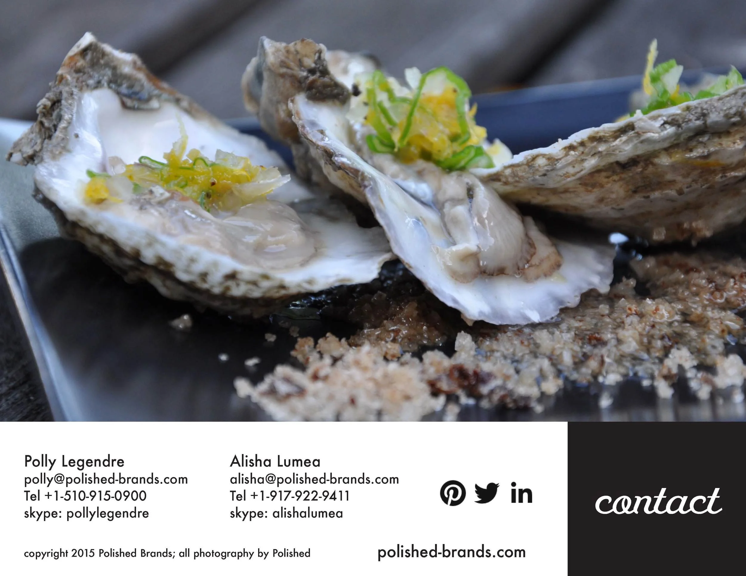 Polished Brands Brochure 2015_Page_19.jpg