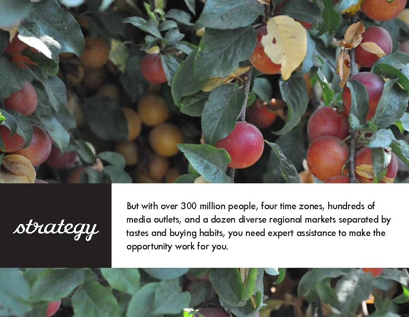 Polished Brands Brochure 2015_Page_03.jpg