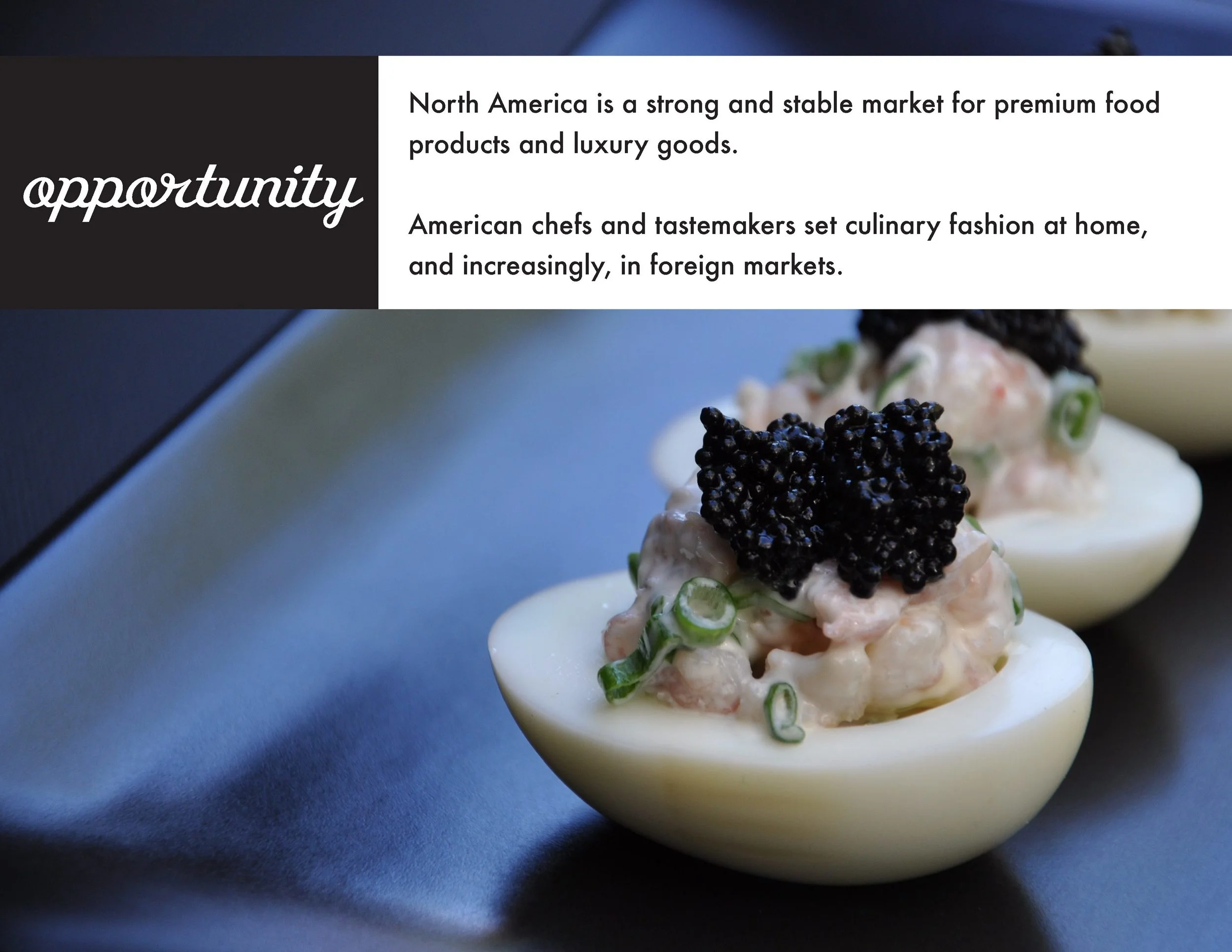 Polished Brands Brochure 2015_Page_02.jpg