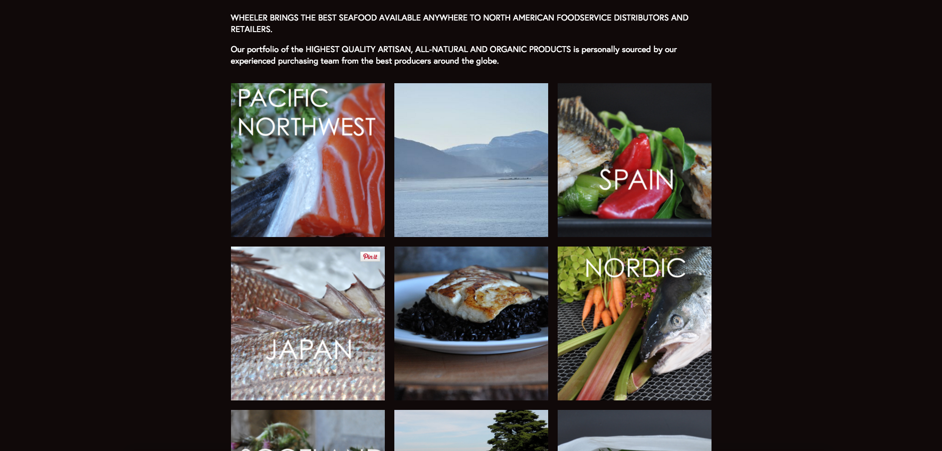 w02 product page.png