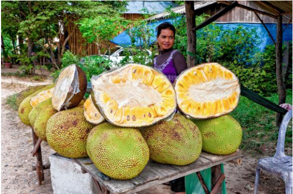 image via National Geographic