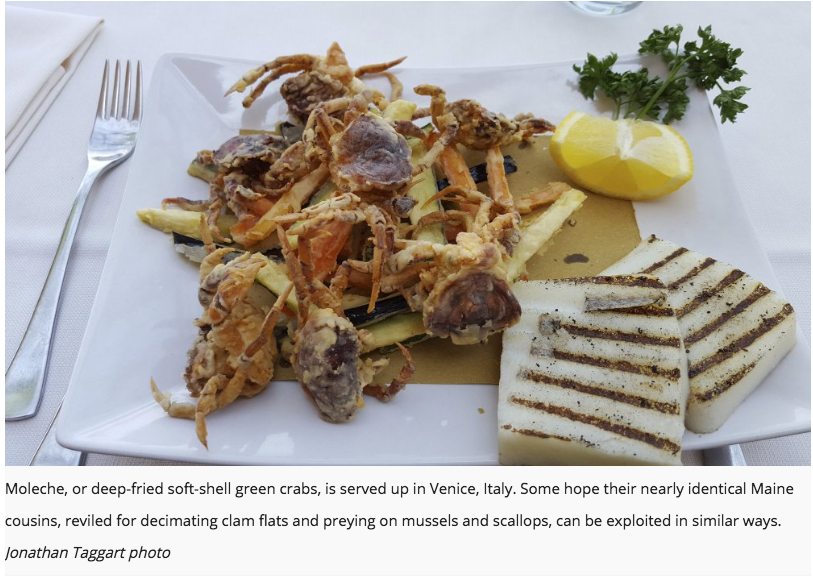 photo via Portland Press Herald