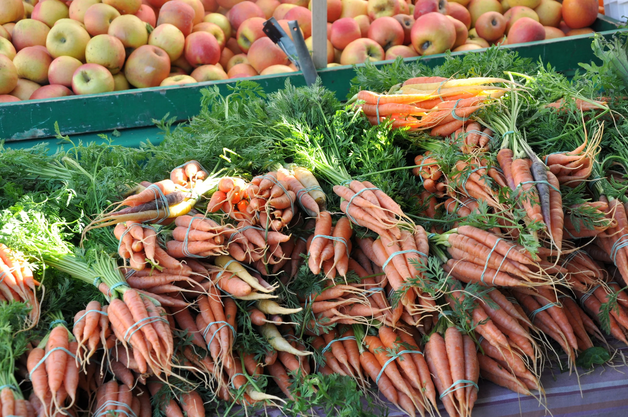 Grand Lake Farmers Market, Oakland, CA. Photo by Polished Brands.