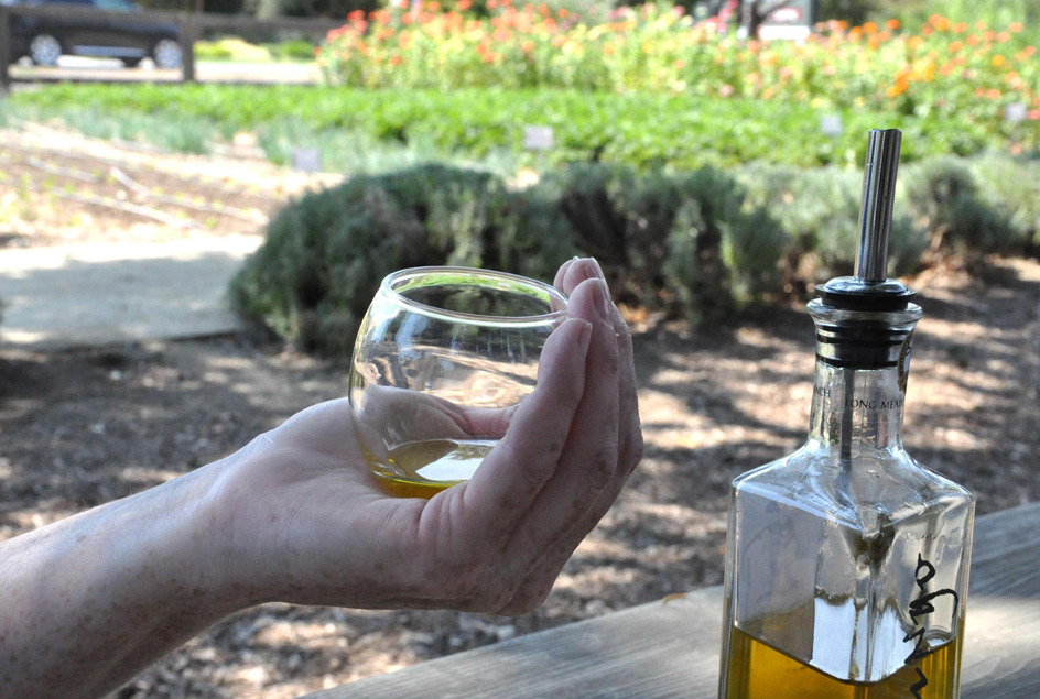 Olive oil tasting at Long Meadow Ranch in Napa, California