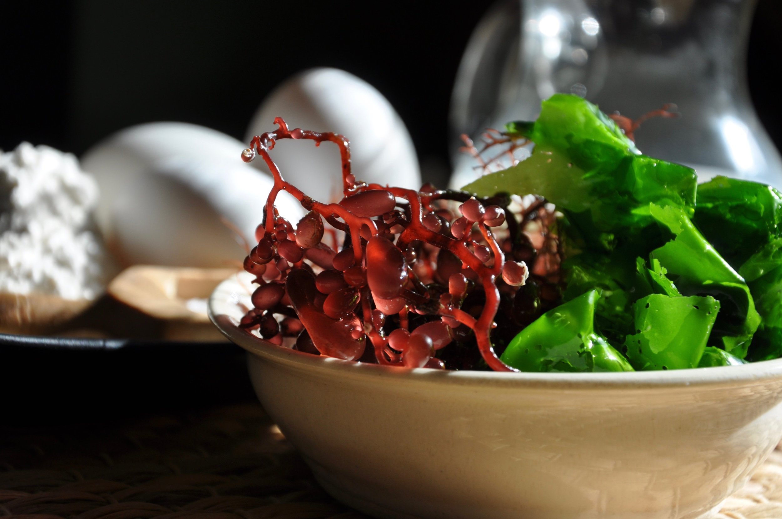 Fresh Seaweed in bowl- credit Polly Legendre- Polished Brands.jpeg