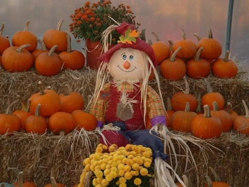 other-autumn-mums-fall-scarecrow-pumpkins-happy-time-harvest-full-hd-1080p-background.jpg
